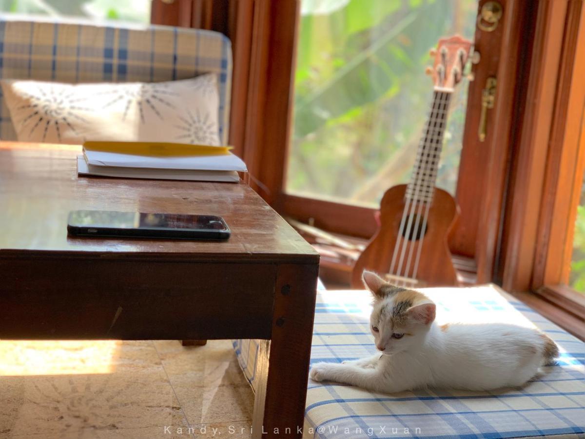 ホテル ダンデライオン ゲスト ハウス キャンディー エクステリア 写真